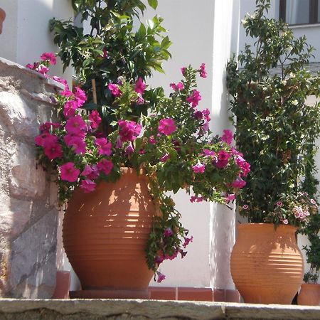 Hotel Pelion Resort Portariá Zewnętrze zdjęcie