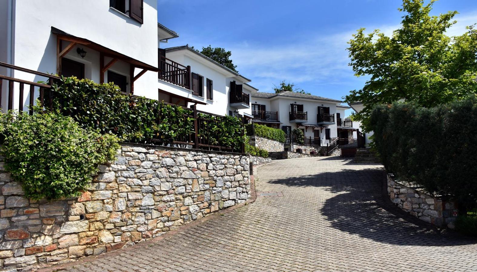 Hotel Pelion Resort Portariá Zewnętrze zdjęcie