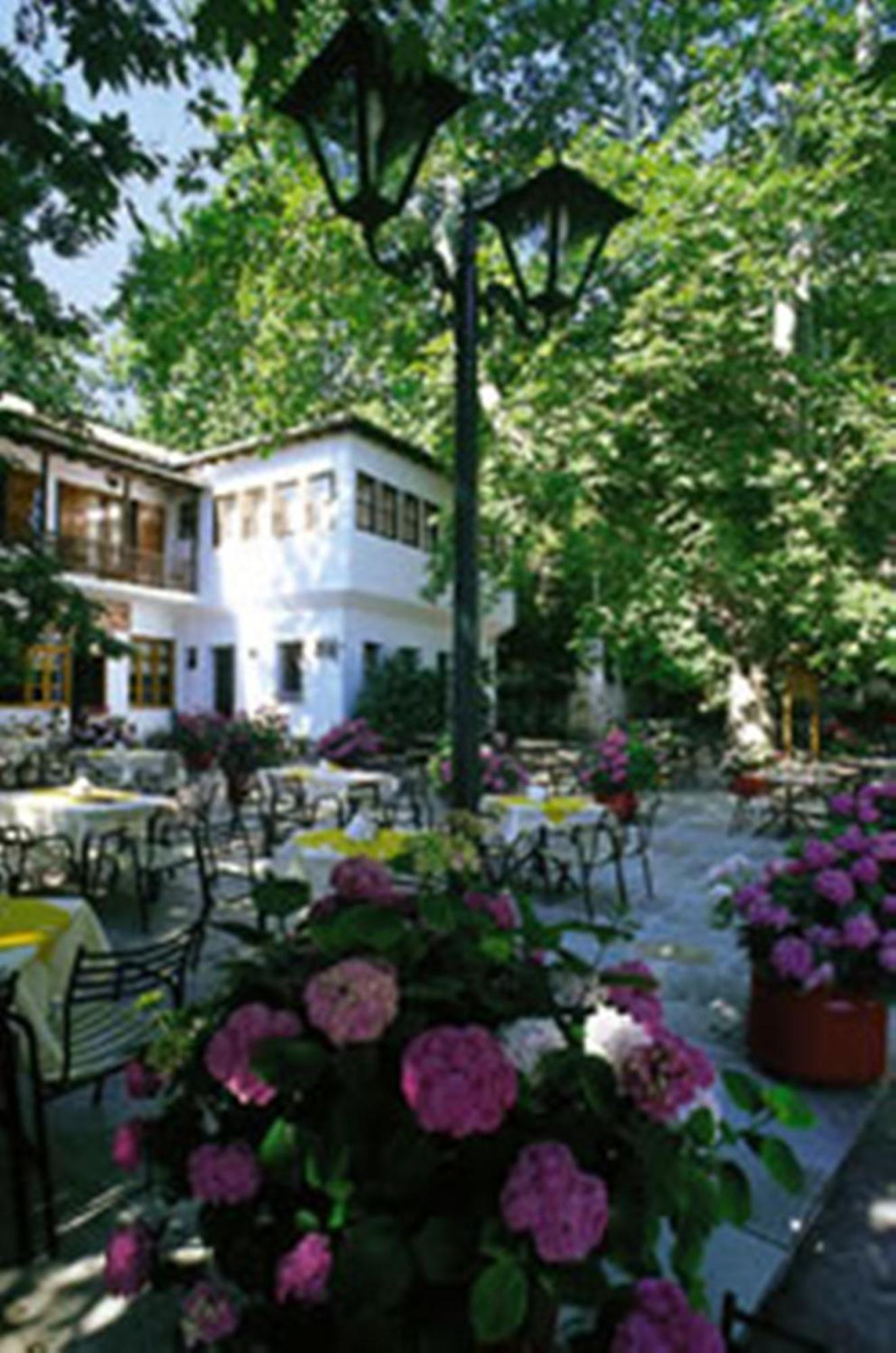 Hotel Pelion Resort Portariá Zewnętrze zdjęcie