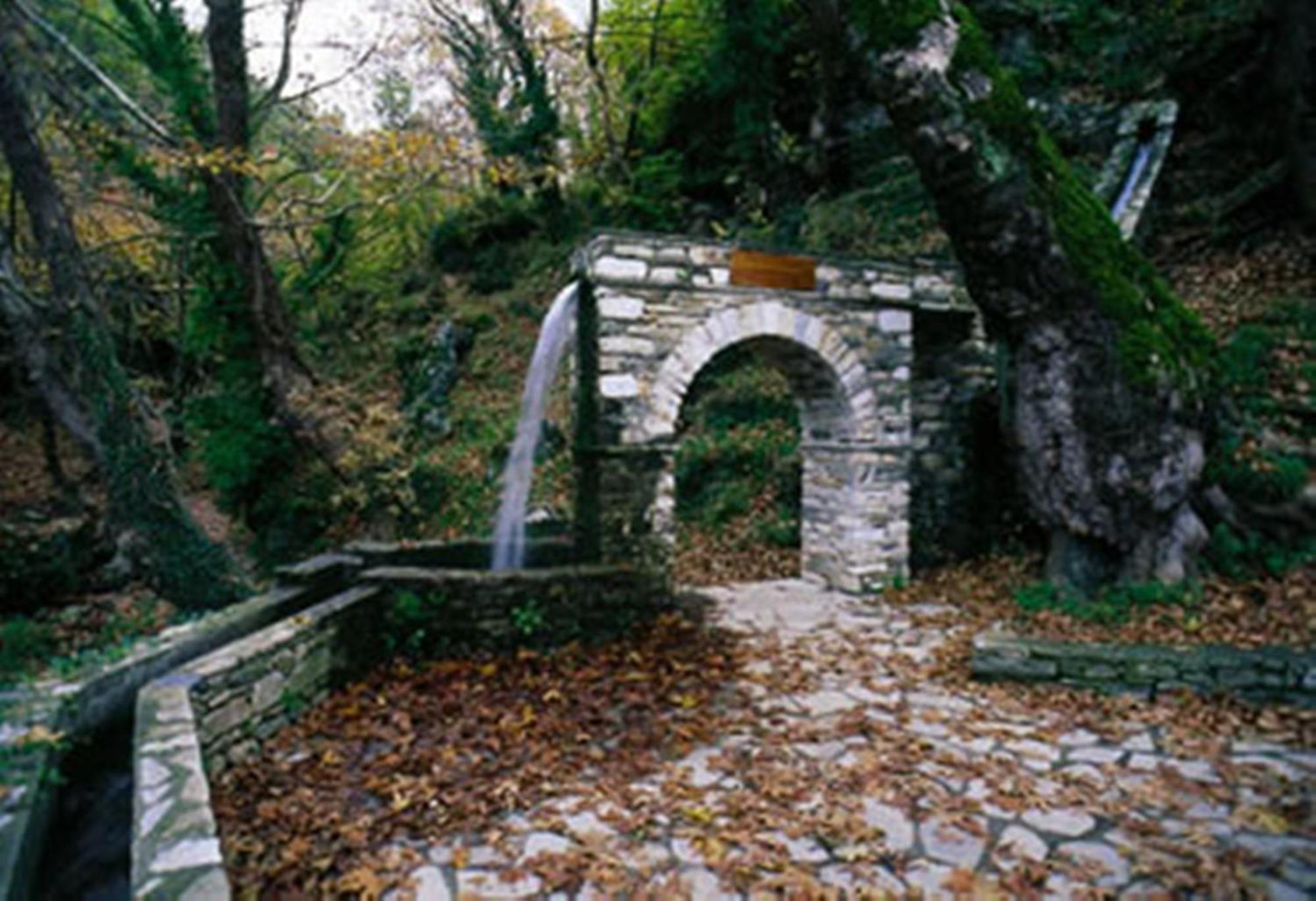 Hotel Pelion Resort Portariá Zewnętrze zdjęcie