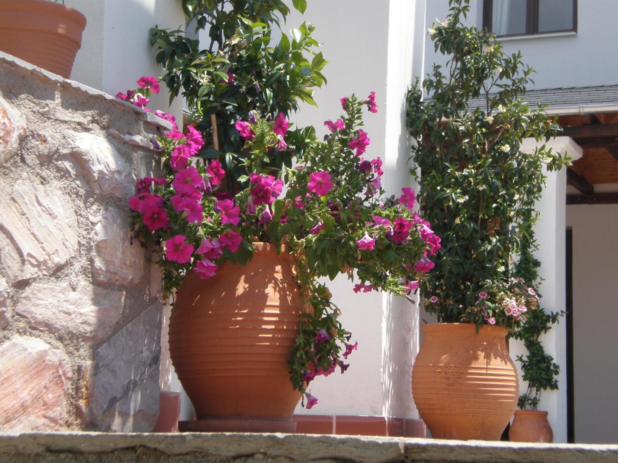 Hotel Pelion Resort Portariá Zewnętrze zdjęcie