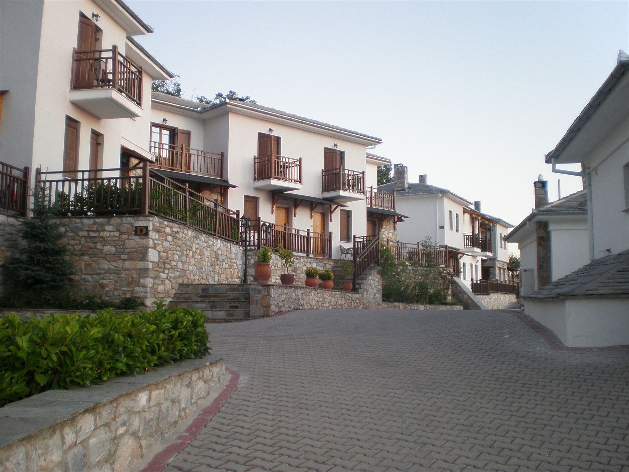 Hotel Pelion Resort Portariá Zewnętrze zdjęcie